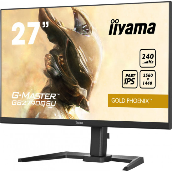 Монітор Iiyama 27" G-Master GB2790QSU-B5 IPS Black 240Hz