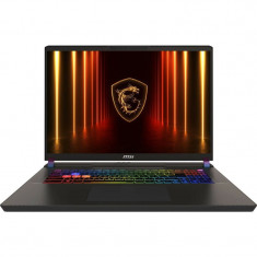 Ноутбук MSI Vector 17 HX AI A2XWIG-044XUA (9S7-17S372-044) Meta Ready