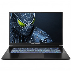 Ноутбук Dream Machines RG5050-17 (RG5050-17UA25) Black