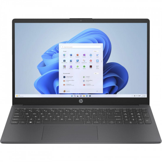 Ноутбук HP 15-fc0248ua (C78S8EA) Gray