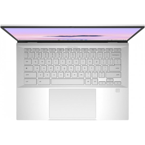 Ноутбук Asus ExpertBook CX54 Chromebook Plus CX5403CMA-QN0678 (90NX0791-M00T90) Fog Silver