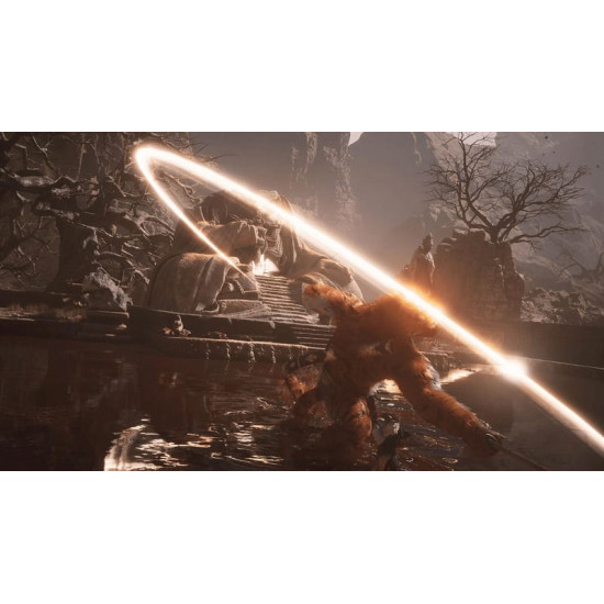 Гра Black Myth: Wukong для Sony PlayStation 5, Blu-ray (5056635611864)