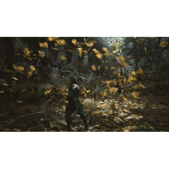 Гра Black Myth: Wukong для Sony PlayStation 5, Blu-ray (5056635611864)