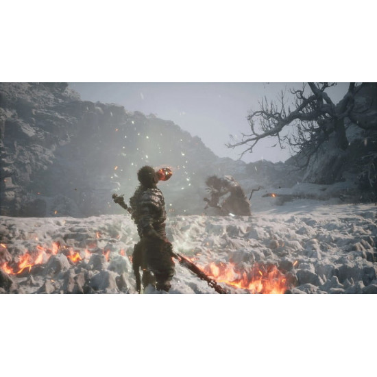 Гра Black Myth: Wukong для Sony PlayStation 5, Blu-ray (5056635611864)