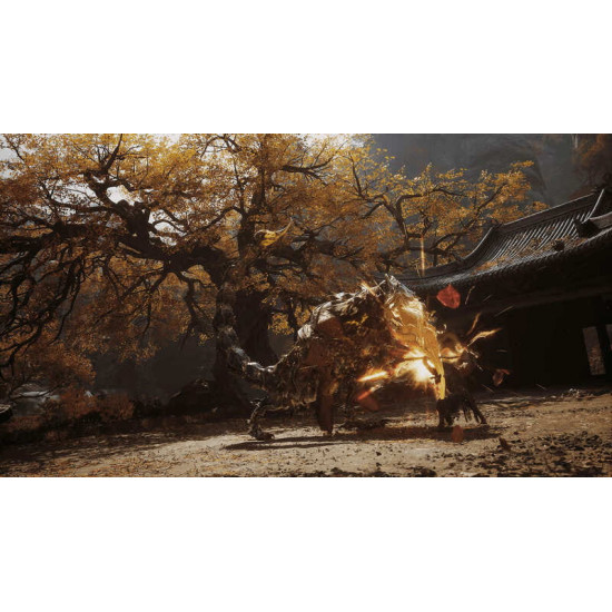 Гра Black Myth: Wukong для Sony PlayStation 5, Blu-ray (5056635611864)