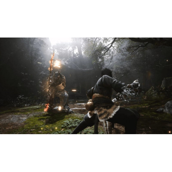 Гра Black Myth: Wukong для Sony PlayStation 5, Blu-ray (5056635611864)
