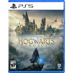 Гра Hogwarts Legacy для PlayStation 5, Blu-Ray диск (5051895413425)