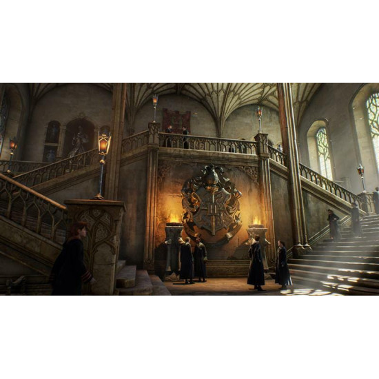 Гра Hogwarts Legacy для PlayStation 5, Blu-Ray диск (5051895413425)