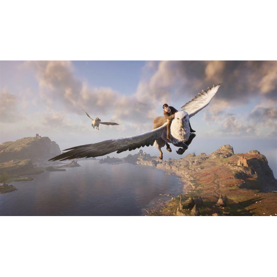 Гра Hogwarts Legacy для PlayStation 5, Blu-Ray диск (5051895413425)