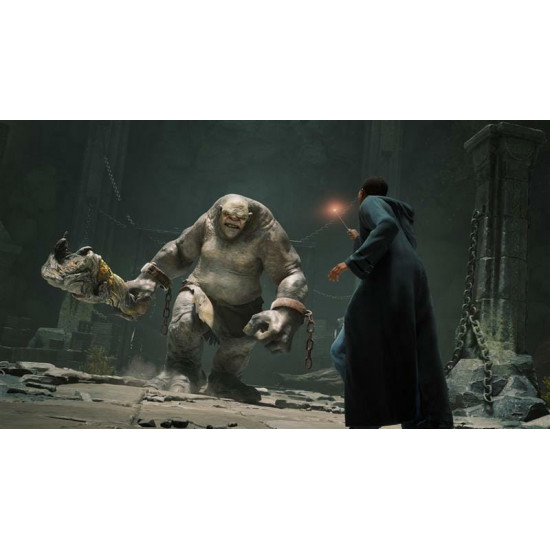 Гра Hogwarts Legacy для PlayStation 5, Blu-Ray диск (5051895413425)