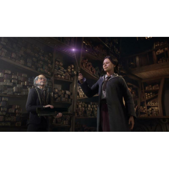 Гра Hogwarts Legacy для PlayStation 5, Blu-Ray диск (5051895413425)