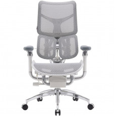 Крісло офісне Sihoo Doro S300 Mesh Light Grey (S300-M202)