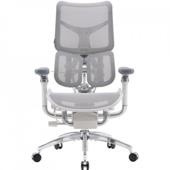 Крісло офісне Sihoo Doro S300 Mesh Light Grey (S300-M202)