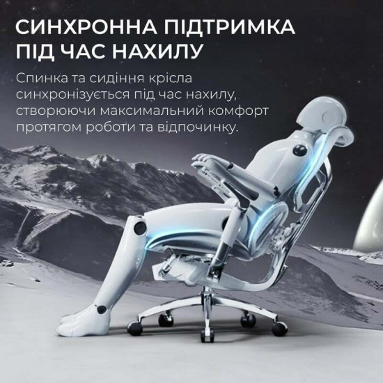 Крісло офісне Sihoo Doro S300 Mesh Light Grey (S300-M202)