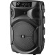 Акустична система Defender Boomer 12 Black (65412)
