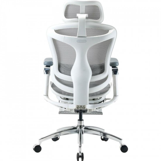 Крісло офісне Sihoo Doro C300 Pro Mesh White with footrest (Doro-C300-Pro-M102-JT)