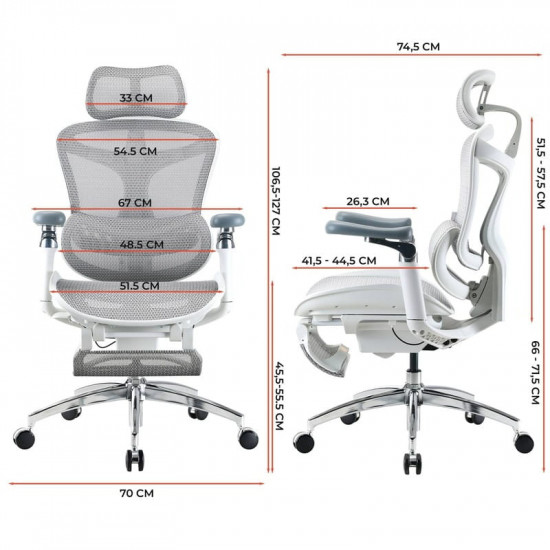 Крісло офісне Sihoo Doro C300 Pro Mesh White with footrest (Doro-C300-Pro-M102-JT)