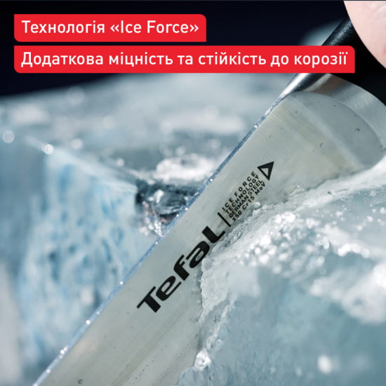 Набір ножів Tefal Ice Force у пластиковій колоді 4 предмети (K2325S75)