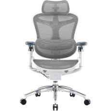 Крісло офісне Sihoo Doro C300 Pro Mesh White (DORO-C300-PRO-M102)