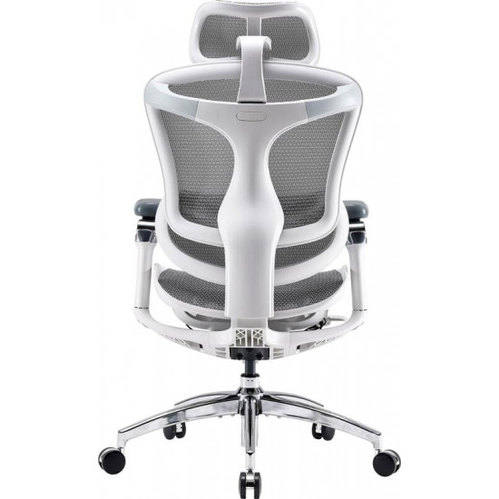 Крісло офісне Sihoo Doro C300 Pro Mesh White (DORO-C300-PRO-M102)