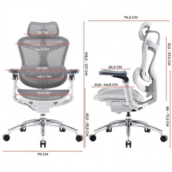 Крісло офісне Sihoo Doro C300 Pro Mesh White (DORO-C300-PRO-M102)