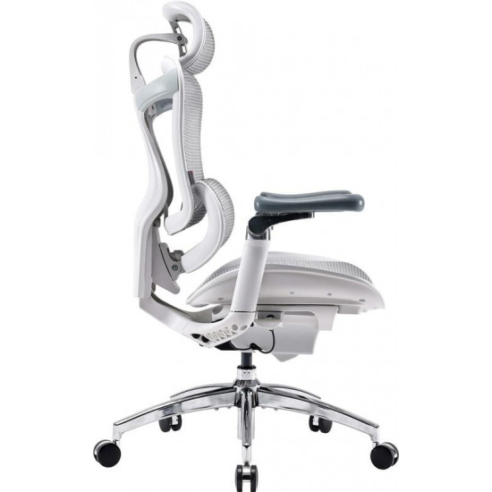 Крісло офісне Sihoo Doro C300 Pro Mesh White (DORO-C300-PRO-M102)