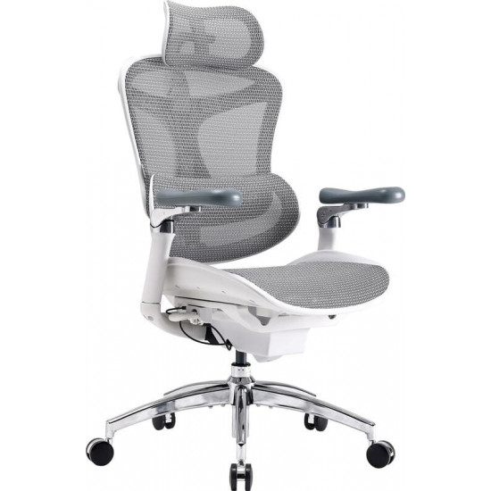 Крісло офісне Sihoo Doro C300 Pro Mesh White (DORO-C300-PRO-M102)