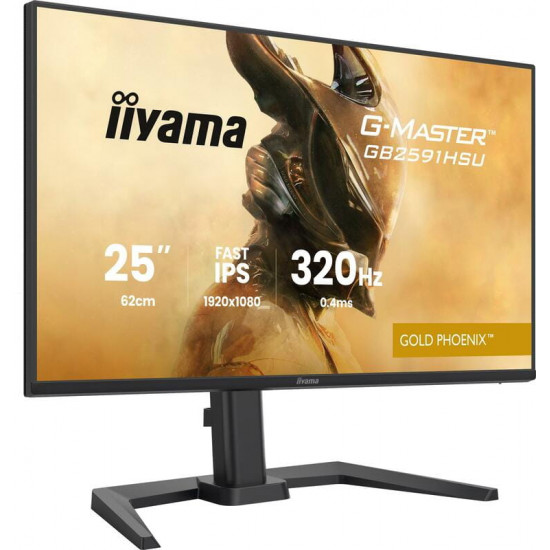 Монітор Iiyama 24.5" G-Master GB2591HSU-B1 IPS Black 320Hz