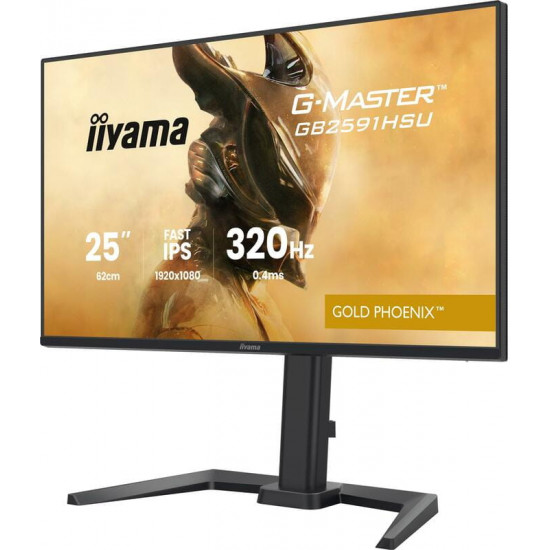 Монітор Iiyama 24.5" G-Master GB2591HSU-B1 IPS Black 320Hz