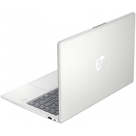 Ноутбук HP 240R G10 (C5VM9ET) Silver