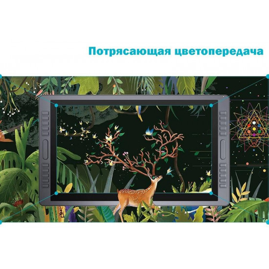 Графічний монітор Huion Kamvas GT-221Pro + рукавичка