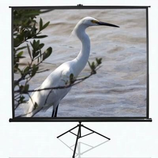 Проекційний екран 84" Elite Screens (T84UWV1)