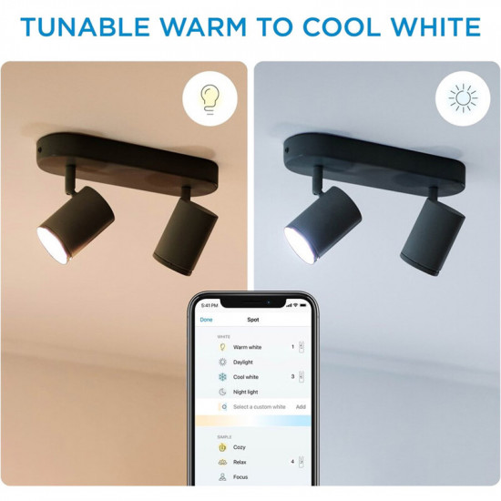 Світильник точковий накладний розумний WiZ Imageo Spots 2х5W 2200-6500K RGB Wi-Fi Black (929002659101)