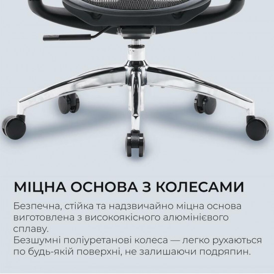 Крісло офісне Sihoo Doro C300L Mesh Black (DORO-C300L-A3-101)