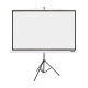 Екран на тринозі Acer 87" T87-S01MW (174x130, 4x3) (MC.JBG11.00F)