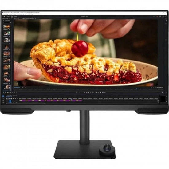Монітор BenQ 31.5" PV3200U (9H.Y01LA.TBE) IPS Dark Grey