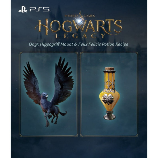 Гра Hogwarts Legacy для PlayStation 5, Blu-ray (1194246)