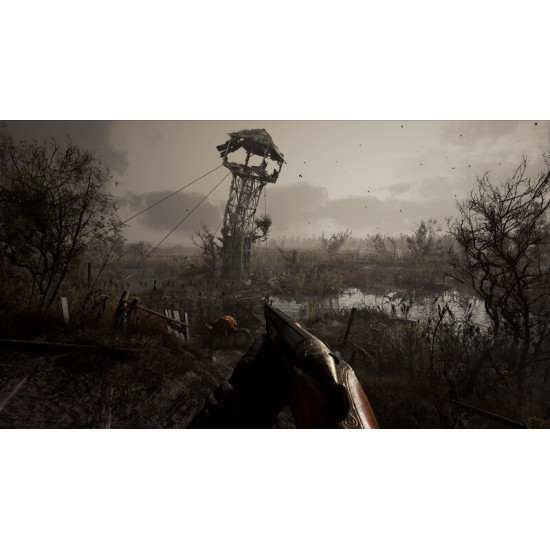 Гра S.T.A.L.K.E.R. 2: Heart of Chornobyl для PlayStation 5, Blu-ray (1070366)