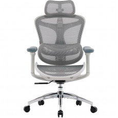 Крісло офісне Sihoo Doro C300L Mesh White DORO-C300L-A3-102)