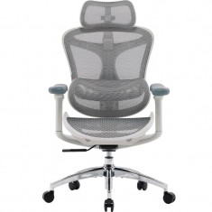 Крісло офісне Sihoo Doro C300L Mesh White DORO-C300L-A3-102)