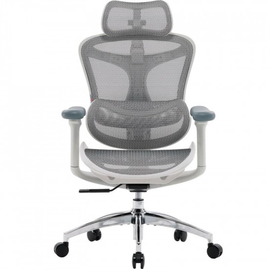 Крісло офісне Sihoo Doro C300L Mesh White DORO-C300L-A3-102)