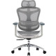 Крісло офісне Sihoo Doro C300L Mesh White DORO-C300L-A3-102)