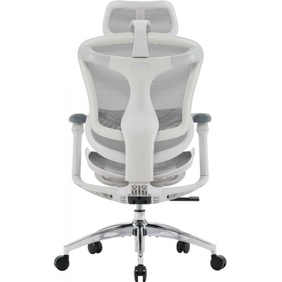 Крісло офісне Sihoo Doro C300L Mesh White DORO-C300L-A3-102)
