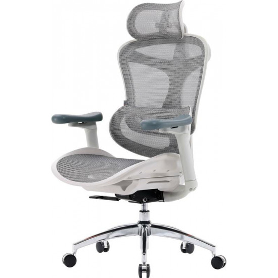 Крісло офісне Sihoo Doro C300L Mesh White DORO-C300L-A3-102)