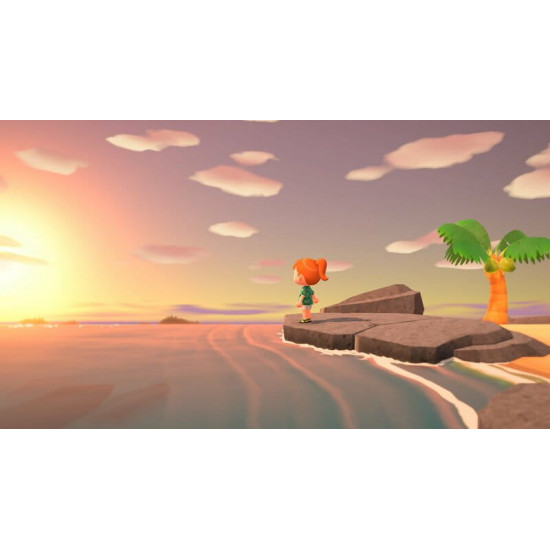 Гра Animal Crossing New Horizons для Nintendo Switch (45496425449)