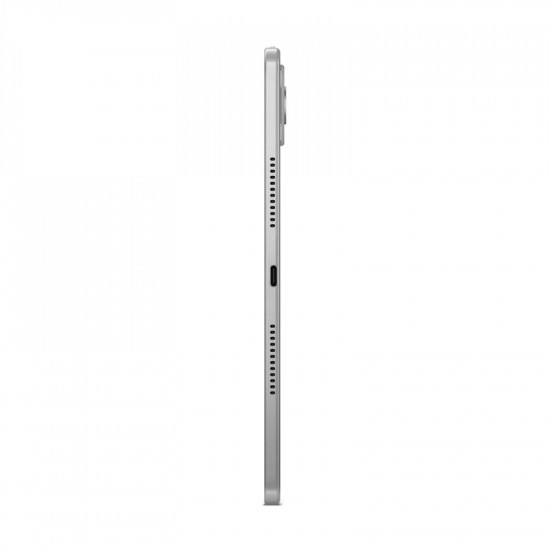 Планшет Lenovo Idea Tab Plus TB361FU 8/256GB Cloud Grey + Pen (ZAG70268UA)