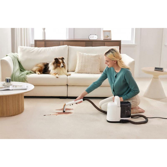 Миючий пилосос Tineco iCarpet Spot (SC050300DE)
