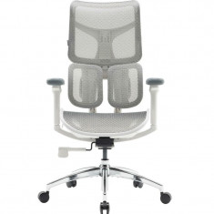 Крісло офісне Sihoo Doro S100 Mesh White (S100-M302)