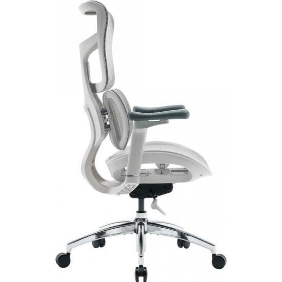 Крісло офісне Sihoo Doro S100 Mesh White (S100-M302)