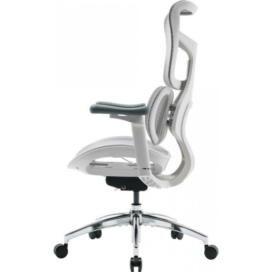 Крісло офісне Sihoo Doro S100 Mesh White (S100-M302)